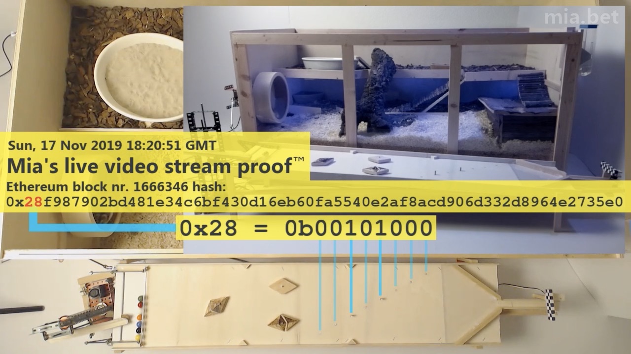 Block hash to peg mapping in live stream